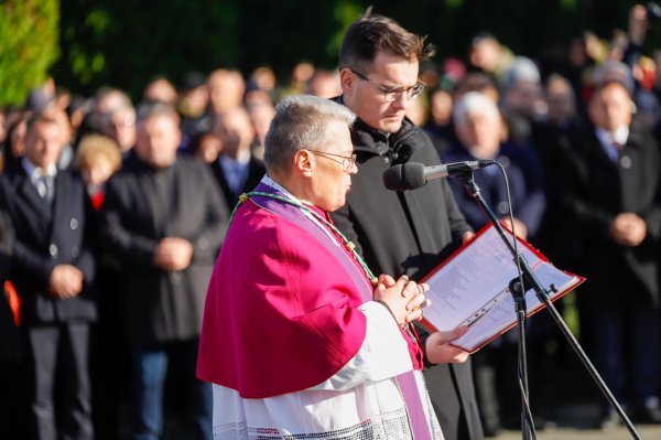 Apostolski nuncij Lingua