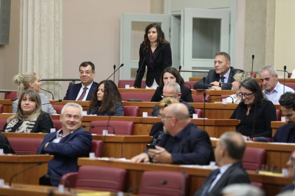 Sabor: Više sredstava za palijativnu skrb i borbu protiv komaraca u Osijeku