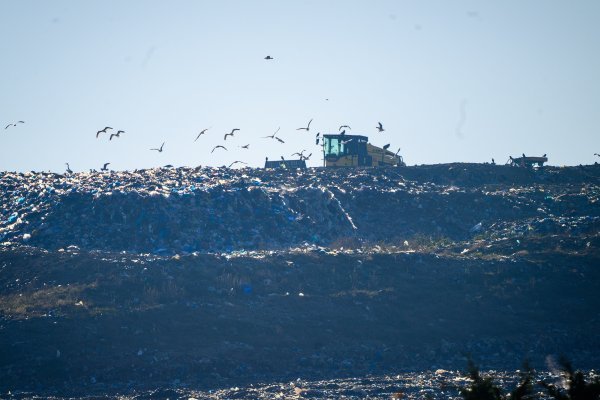 Davor Bernardić na Jakuševcu