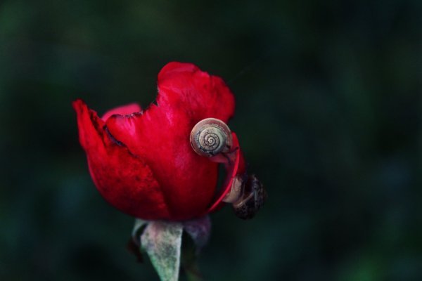 Fotografije Magdalene Blažević tijekom istraživanja za roman
