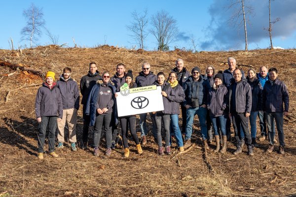 Timskim radom Toyota Croatie zasađeno 3000 novih stabala