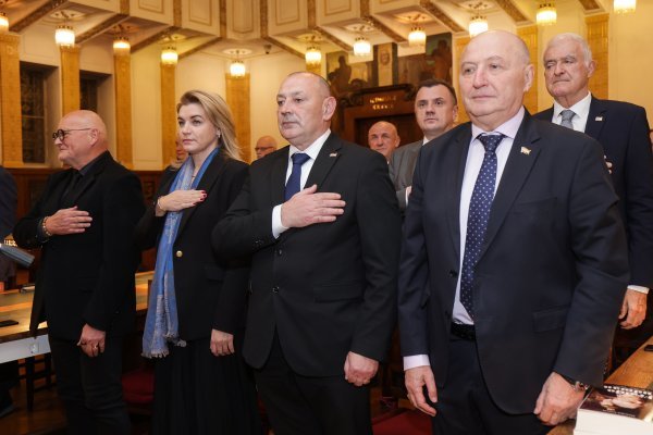 Zlatko Mateša, Nikolina Brnjac, Tomo Medved, Miroslav Šeparović