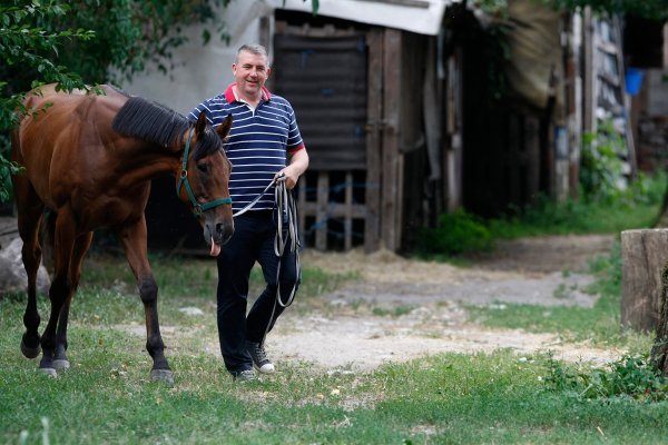 Enimark Ponjević