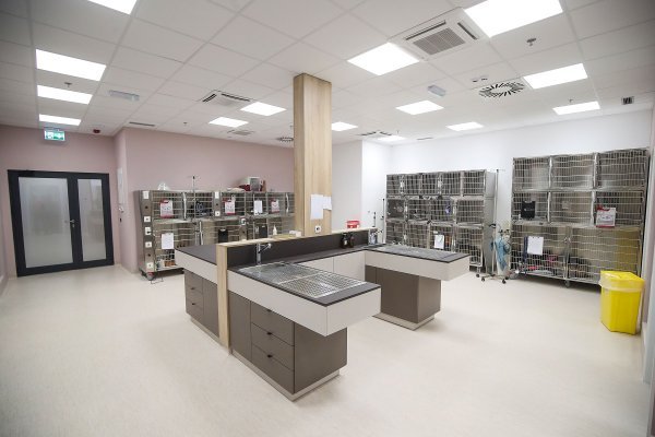 Stacionar Veterinarske klinike Buba by Vetti Group