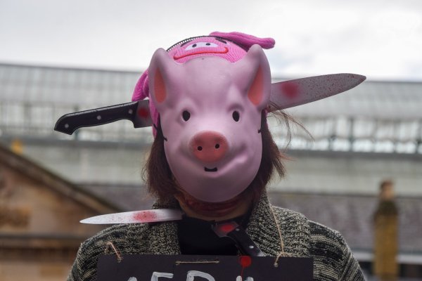 Prosvjedi za prava životinja