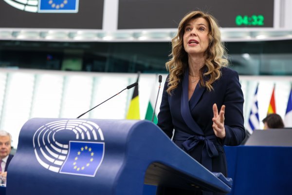 Biljana Borzan u Europskom parlamentu