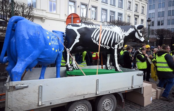 Prosvjedi farmera u Bruxellesu