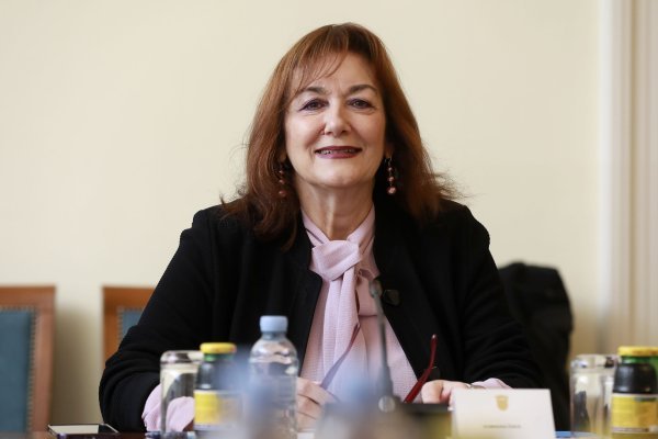 Dubravka Šuica na Odboru za europske poslove