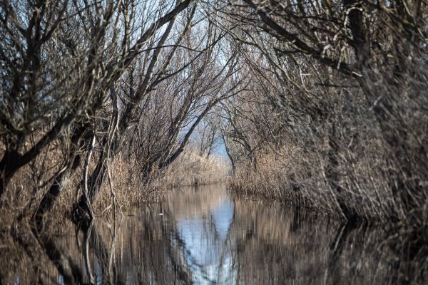 Park prirode Hutovo blato