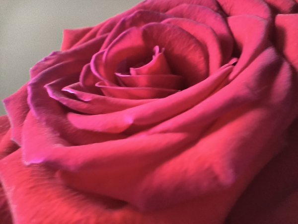 Xiaomi Redmi Note 13 Pro+ primjeri fotografija