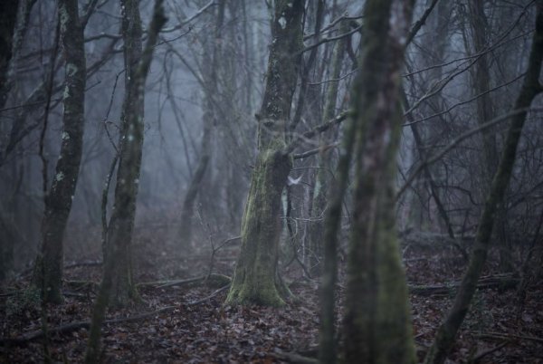 Jedna od fotografija s Rasolove 'migrantske rute'