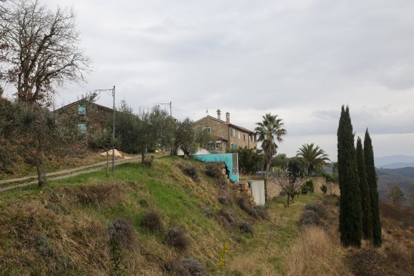 Nasadi cvijeća Hrvoja Vojkovića kod Motovuna