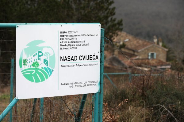 Oprtalj: Parcela u vlasništvu Hrvoja Vojkovića na kojoj je trebao zasaditi tulipane