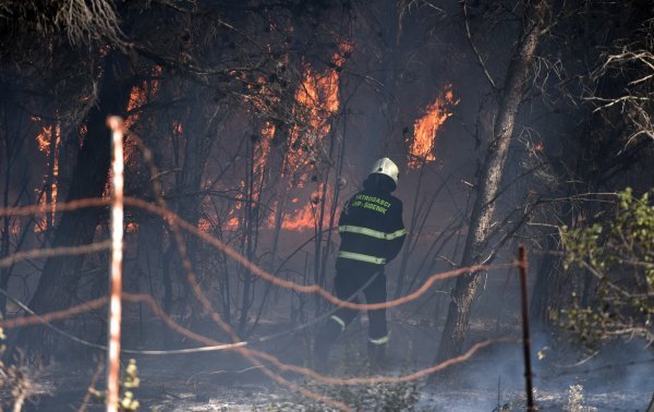 Šumska zemljišta mogu se nakon što su opožarena, ovisno o urbanističkim planovima, prenamijeniti u poljoprivredna ili građevinska Pixsell