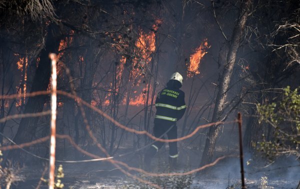 Šumska zemljišta mogu se nakon što su opožarena, ovisno o urbanističkim planovima, prenamijeniti u poljoprivredna ili građevinska Pixsell