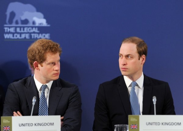 Princ William i princ Harry