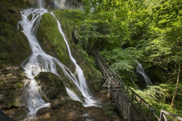 Park šuma Jankovac