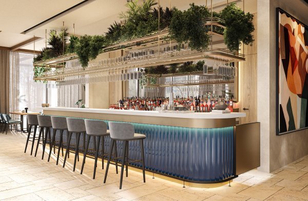 Autograph Collection