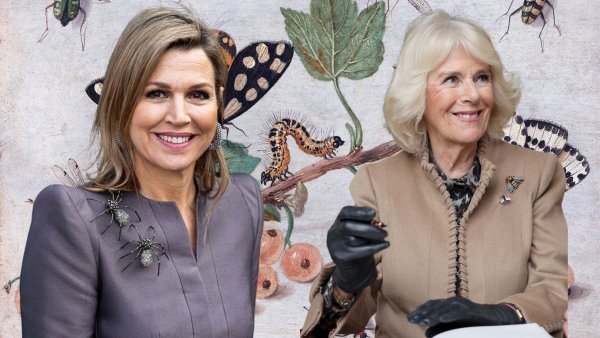 Kraljica Maxima i kraljica Camilla