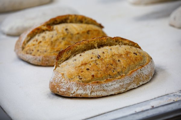 Sourdough kruh s proklijalim žitaricama