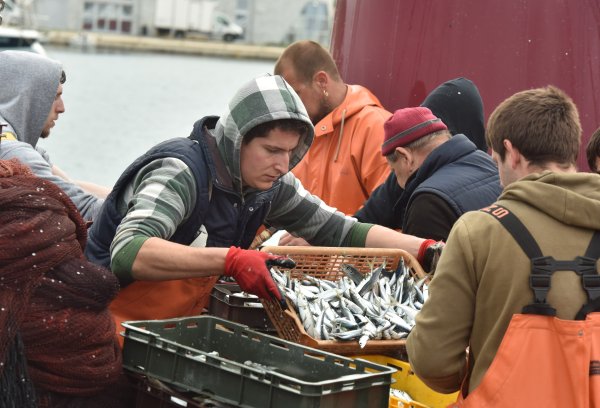 Hrvatska nije uspjela ni ZERP implementirati u cijelosti Hrvoje Jelavić/Pixsell