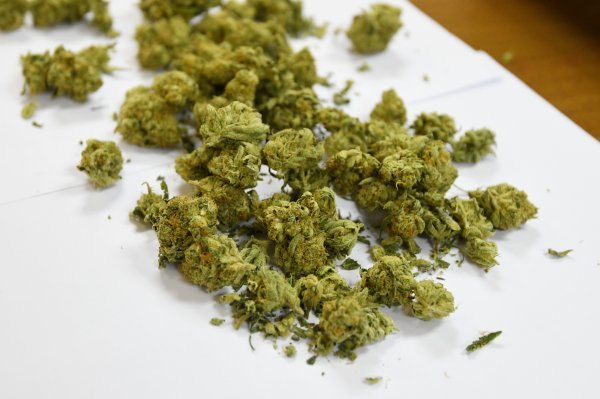 Pali krijumčari droge, morskim putem iz Crne Gore prebacili najmanje 300 kilograma marihuane