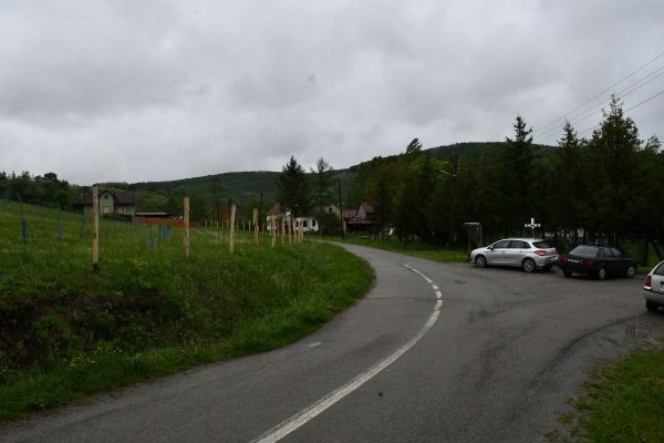 U selu Vladisovu registrirano je 11 birača