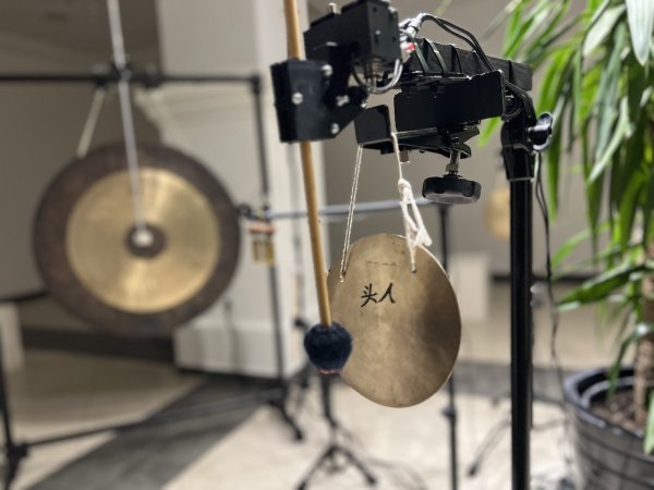 Alex Brajković, Contem.plant