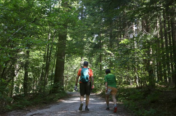 Nacionalni park Risnjak