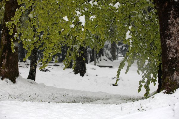 Snijeg u Gorskom kotaru