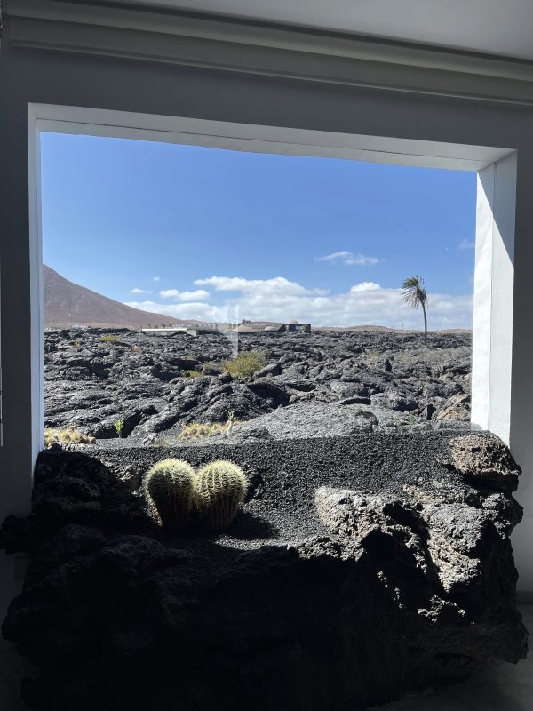 Fondacija Césara Manriquea