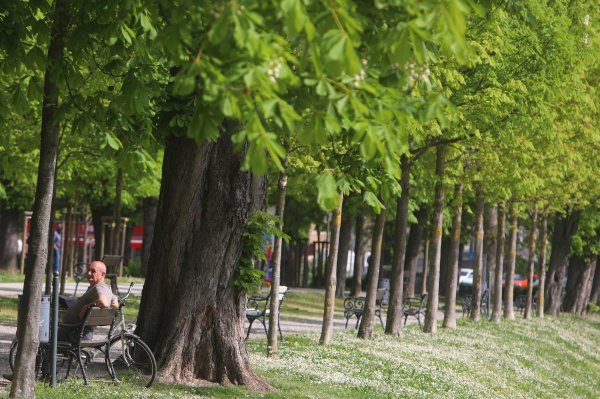 Karlovački parkovi u proljeće