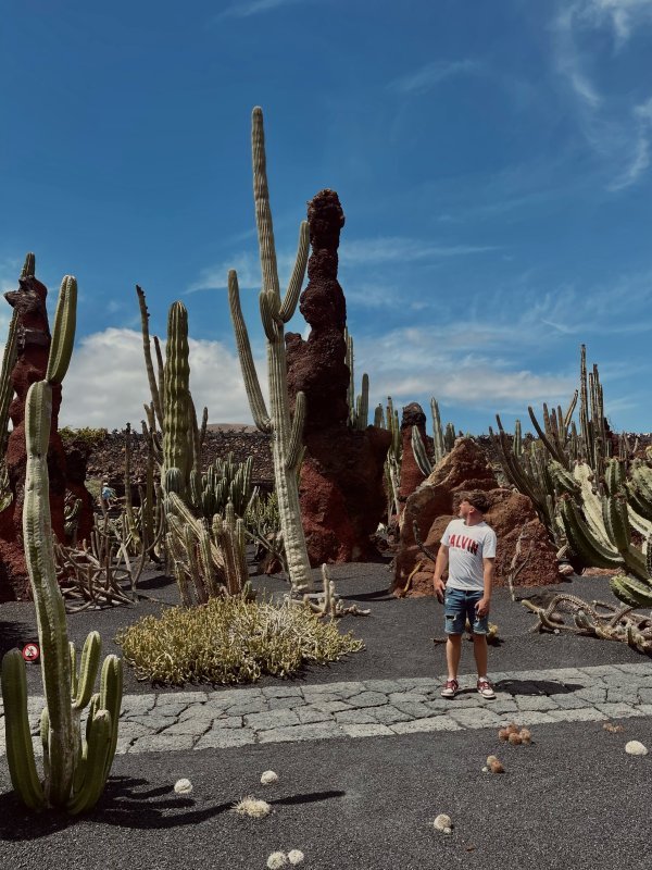 Jardin de Cactus