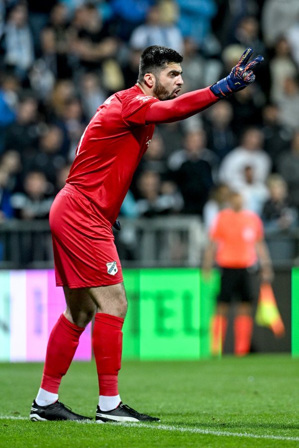 Nediljko Labrović