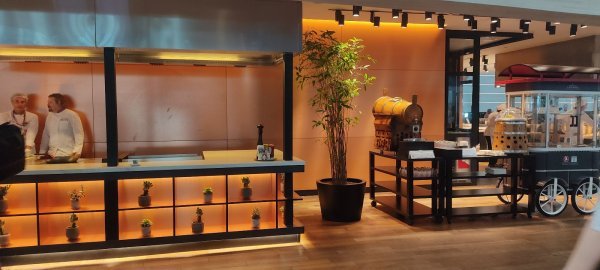 Turkish Airlines - Business Class