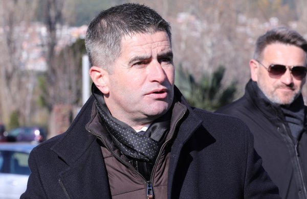 Vice Mihanović