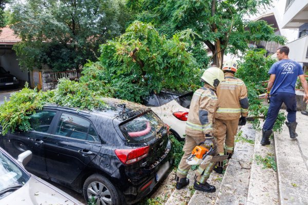 Nevrijeme srušilo stablo na dva osobna vozila