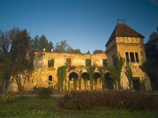 Arboretum Opeka, Vinica