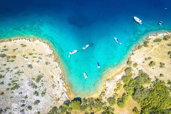 Hrvatska je moguće žarište denga groznice