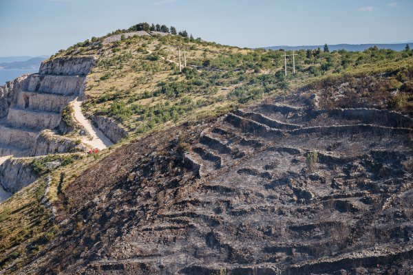 Požar kod Segeta Gornjeg