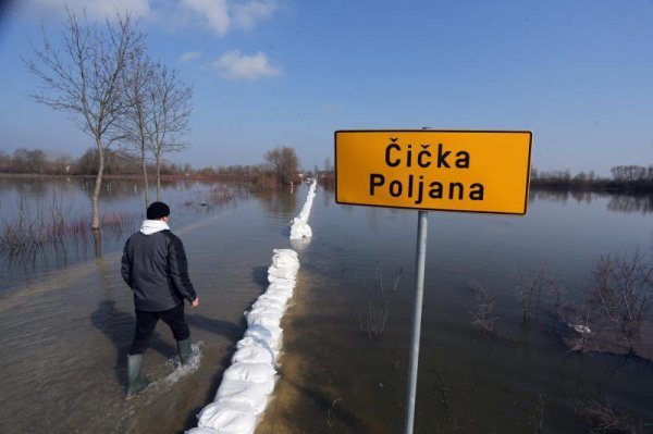 Igor Kralj