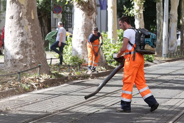 Vatrogasci uklonili stablo s pruge na Trgu Republike Austrije
