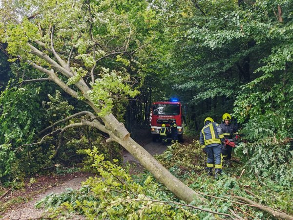 Intervencije hrvatskih vatrogasaca