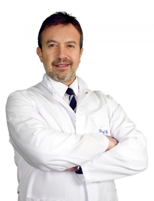 prof. dr. Hamdi Karakayalı