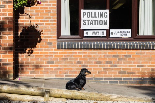 Psi na biralištima u Britaniji