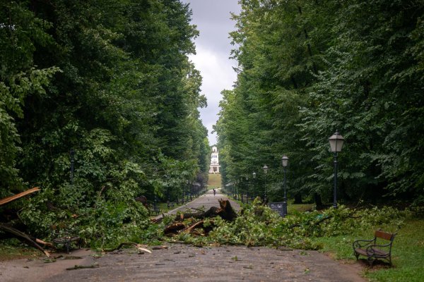 Posljedice noćašnjeg nevremena u parku Maksimir