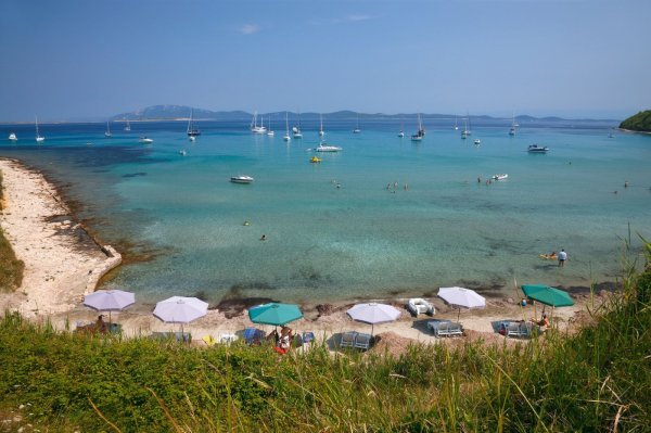 Susak