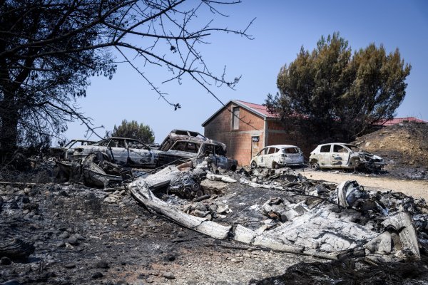 Izgorene šume i maslinici u skradinskom zaleđu