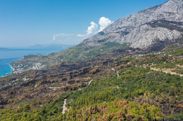 Biokovo nakon požara