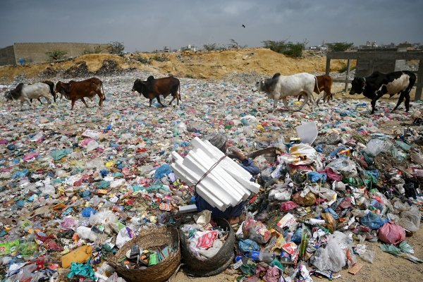 Plastika i ostalo smeće u prirodi
